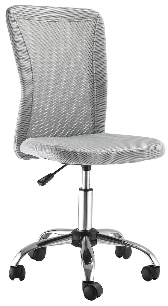 Vinsetto Scaun de Birou Ergonomic Fără Cotiere din Țesătură tip Plasă Gri | Aosom Romania