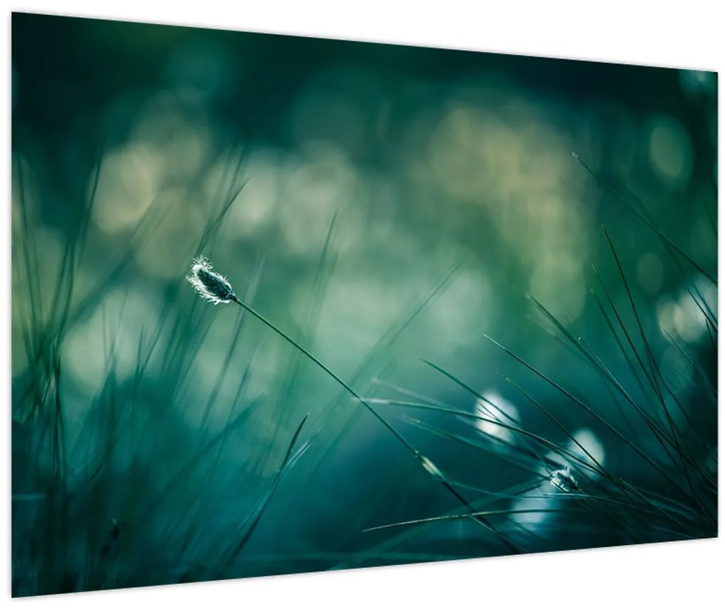 Tablou - Detaliu iarbă (90x60 cm)