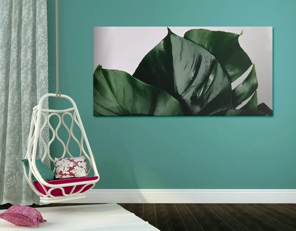 Tablou frunză de philodendron