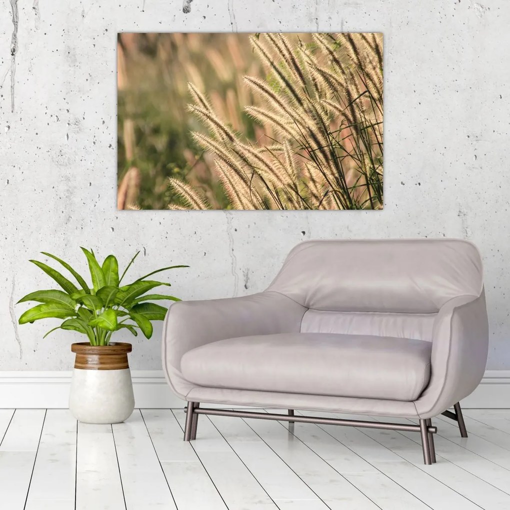 Tablou - Cereale (90x60 cm)