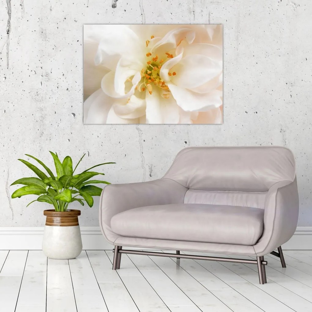 Tablou - Floare (70x50 cm)