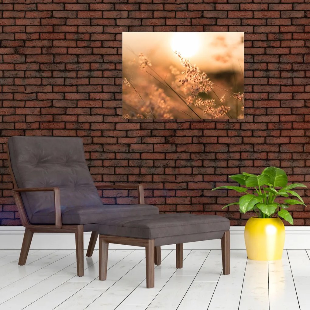 Tablou - Iarbă la soare (70x50 cm)