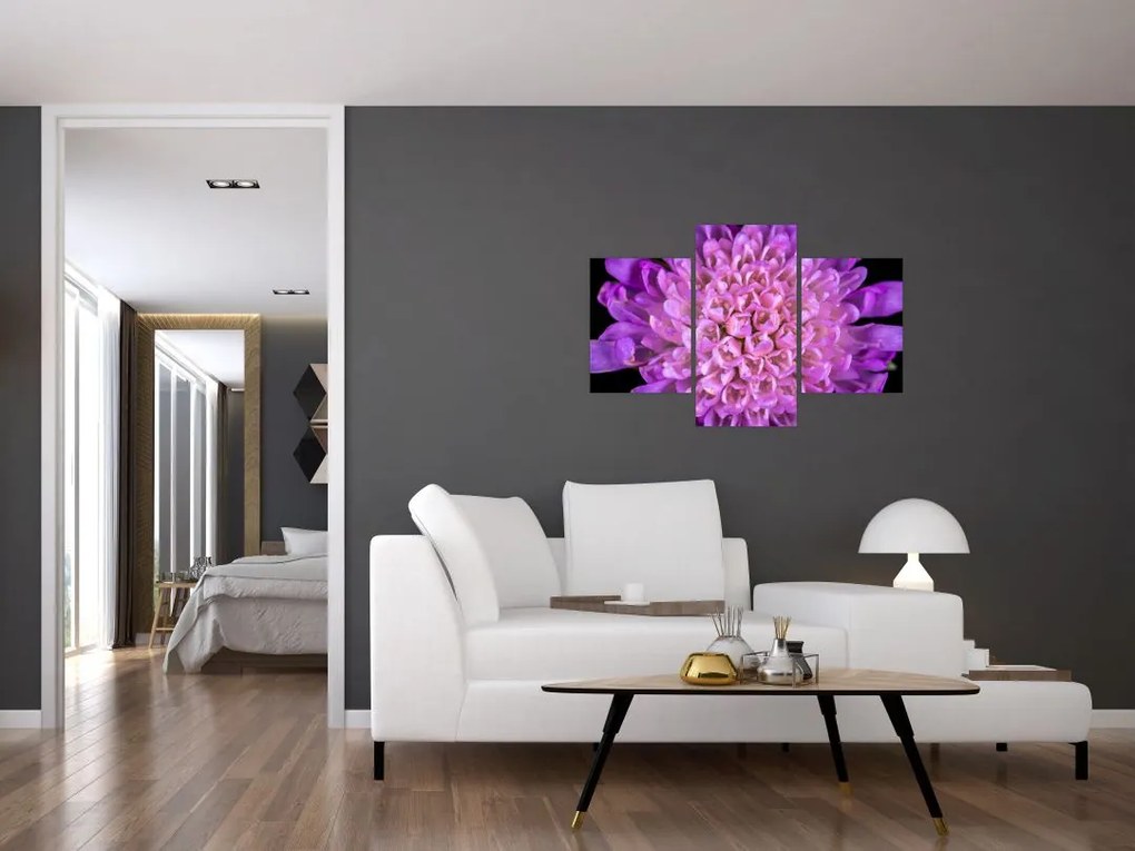 Tablou detailat cu floare (90x60 cm)