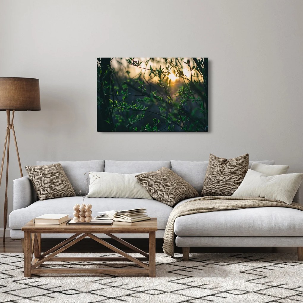 Tablou - Soarele strălucind printre crengile copacilor (90x60 cm)