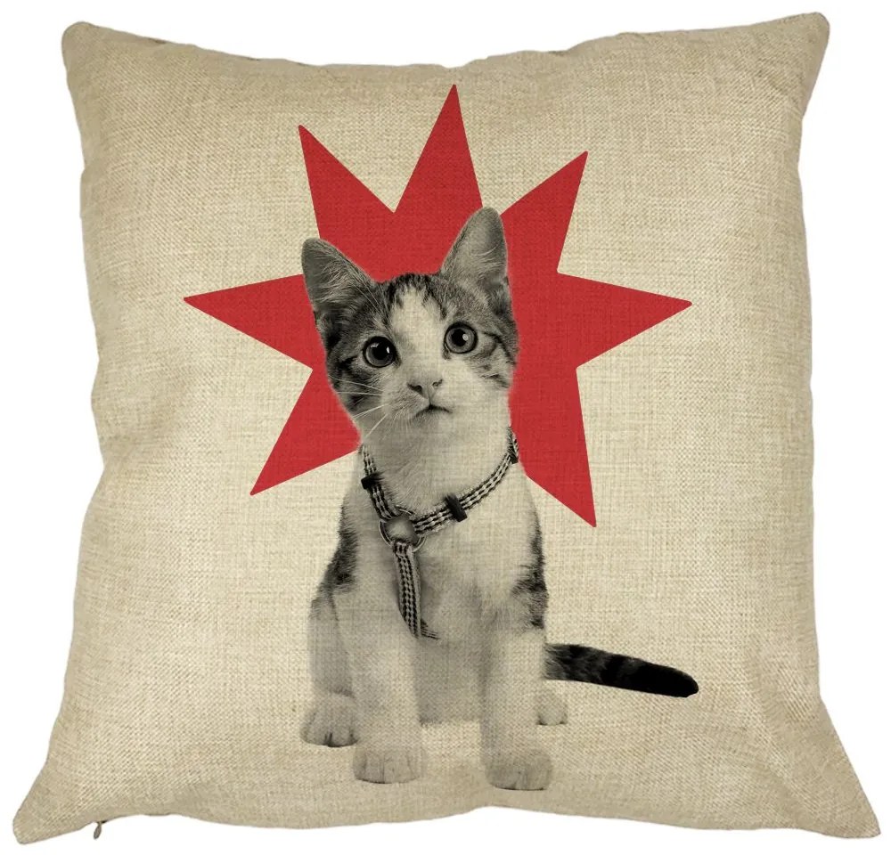 Perna Decorativa Patrata Super Cat, 40x40 cm, Husa Detasabila, Burduf