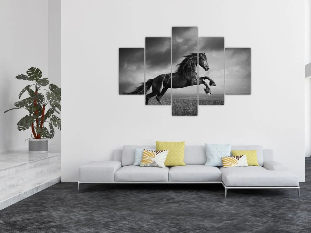 Tablou - Cal alb și negru (150x105 cm)