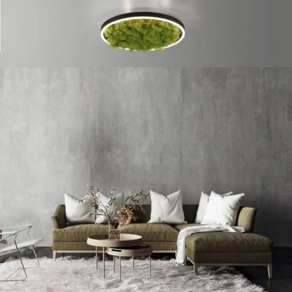 Plafonieră LED dimabilă JUST LIGHT. 15391-66 GREEN RITU LED/20W/230V