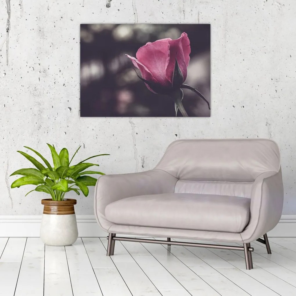 Tablou pe sticlă - Detaliu florii de trandafir (70x50 cm)