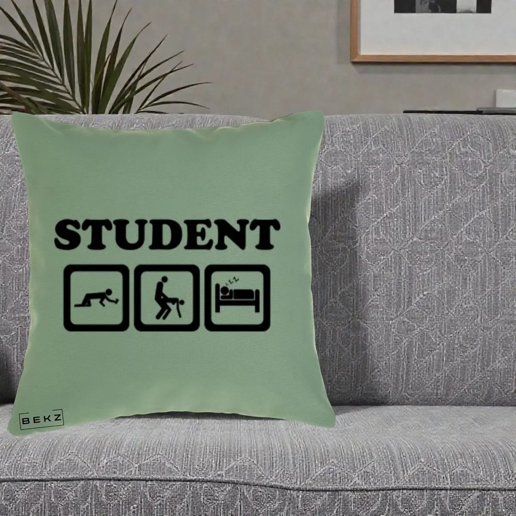 Perna Decorativa Student Life, 40x40 cm, Verde, Husa Detasabila, Perna Inclusa, BEKZ®