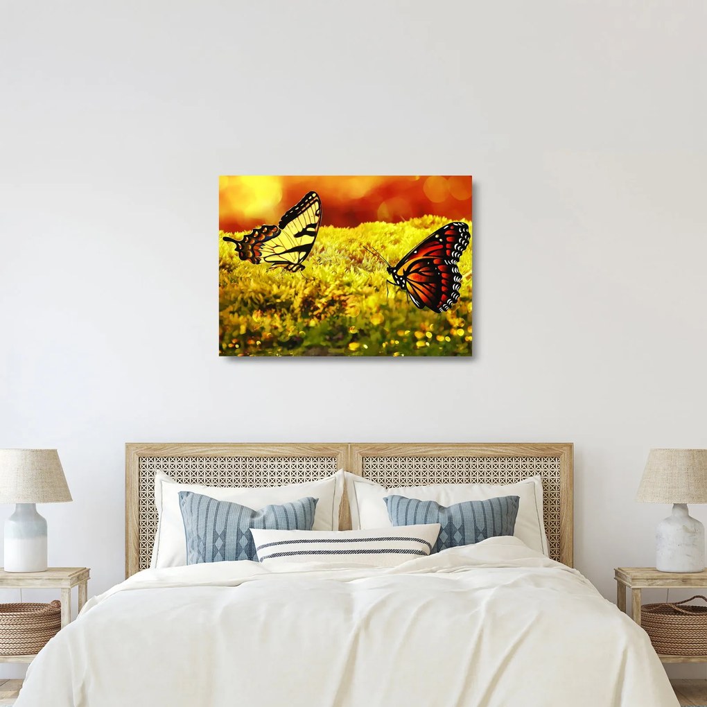 Tablou pe sticlă cu fluturi (70x50 cm)
