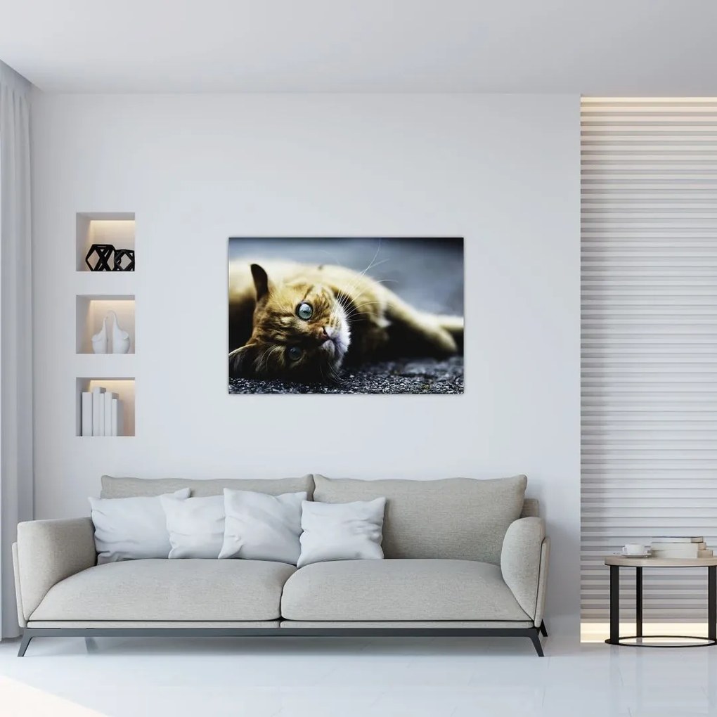 Tablou cu pisica (90x60 cm)