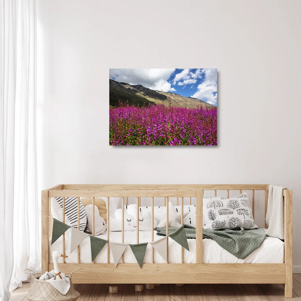 Tablou pe sticlă sceneriei cu lunca montană (70x50 cm)
