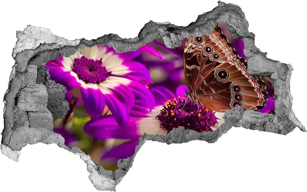 Fototapet 3D gaură în perete Fluture pe o floare