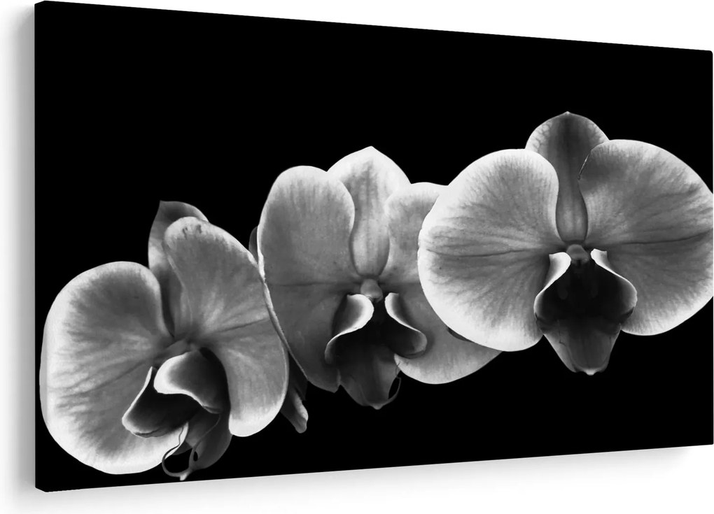 Tablou floare de orhidee (90x60 cm)