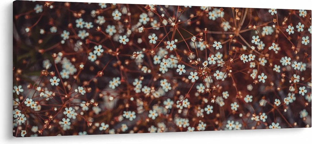 Tablou cu floare de nu mă uita (120x50 cm)