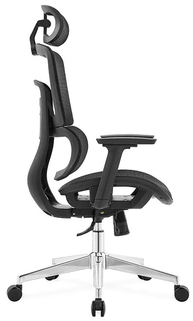 Ergodynamic Gary H - Scaun de birou - Full mesh - black, translatie sezut, brate 3D