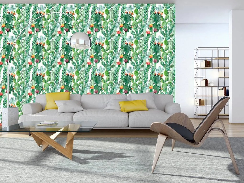 Fototapet - cactus (254x184 cm)