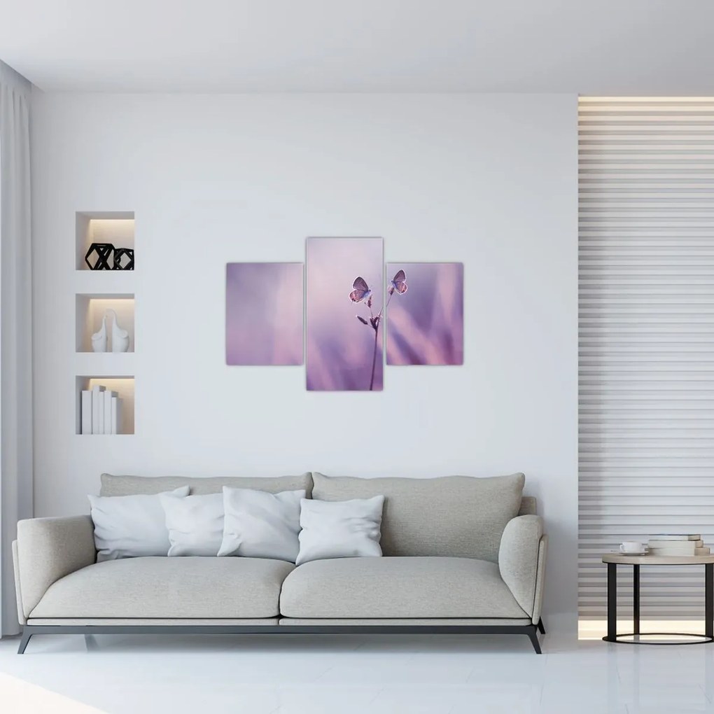 Tablou - Fluturi mov (90x60 cm)
