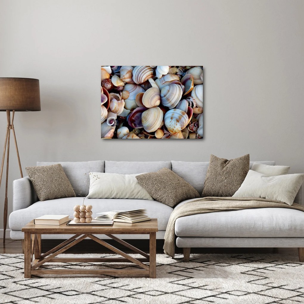 Tablou cu scoici (70x50 cm)