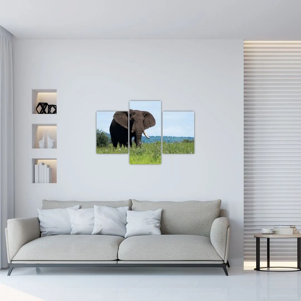 Tablou cu elefant (90x60 cm)