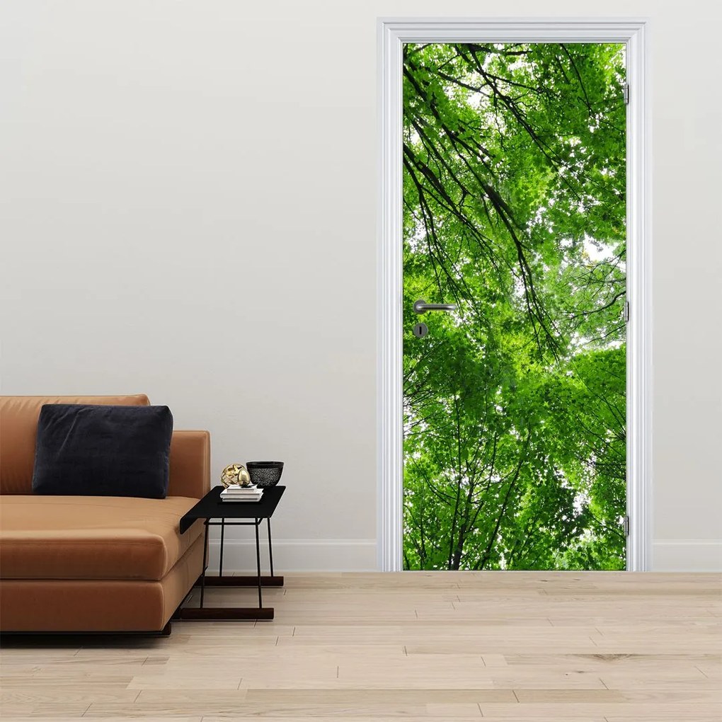 Fototapet pentru ușă - Coroana copacilor (95x205cm)