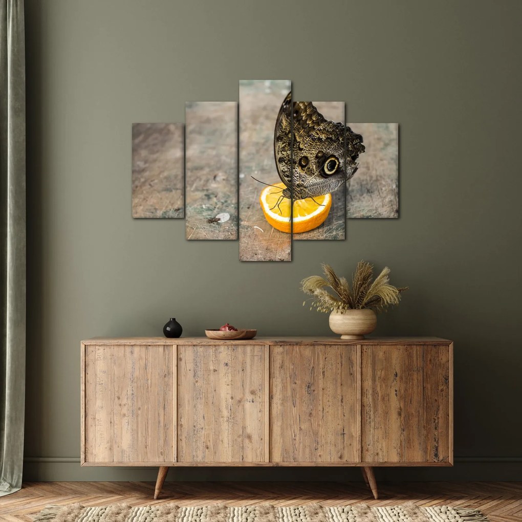 Tablou cu fluturi (150x105 cm)