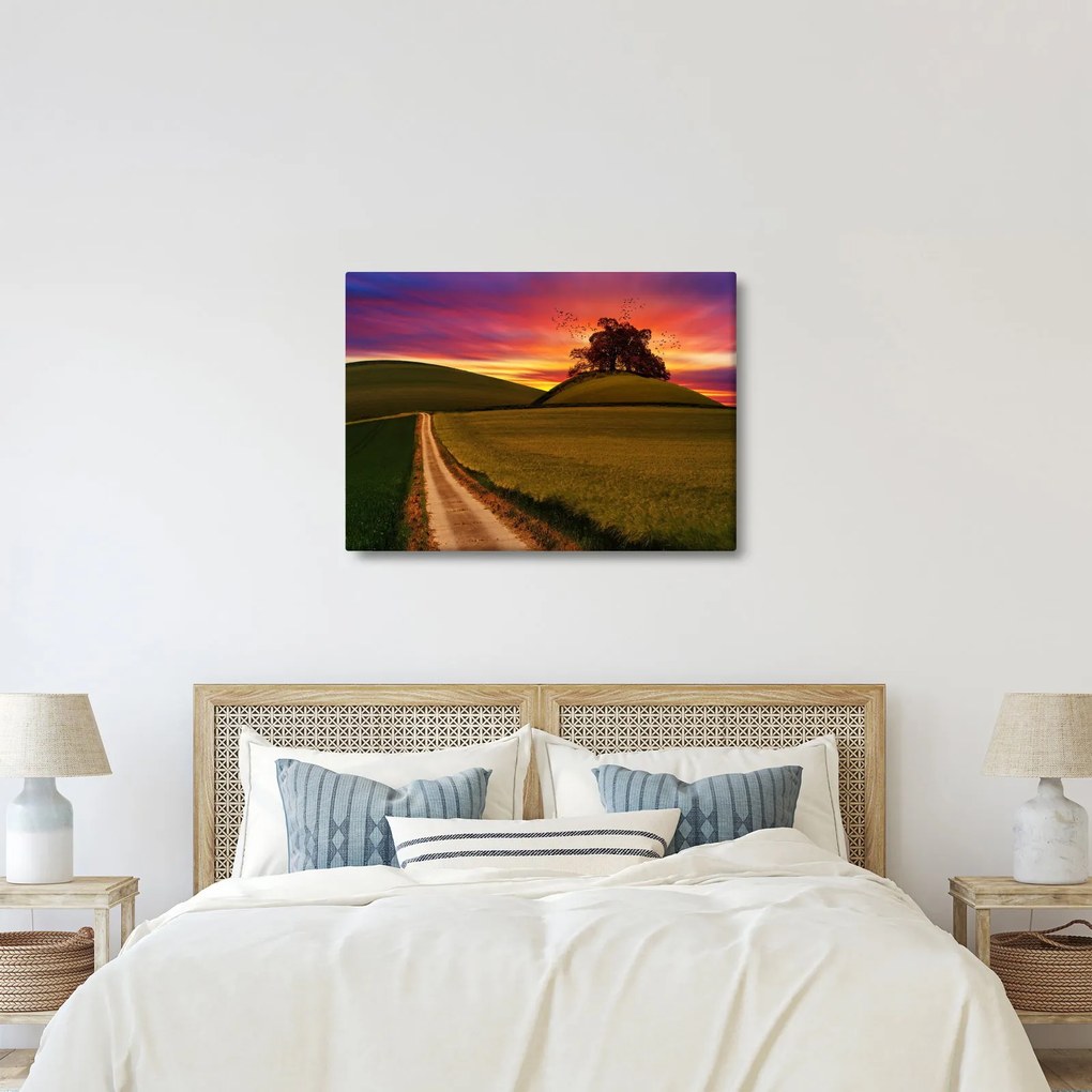 Tablou câmpului cu apus de soare (70x50 cm)