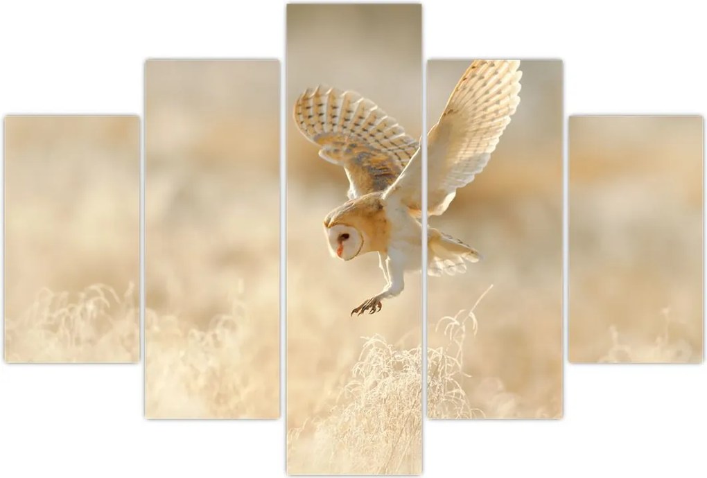 Tablou - Bufnița roșie (150x105 cm)