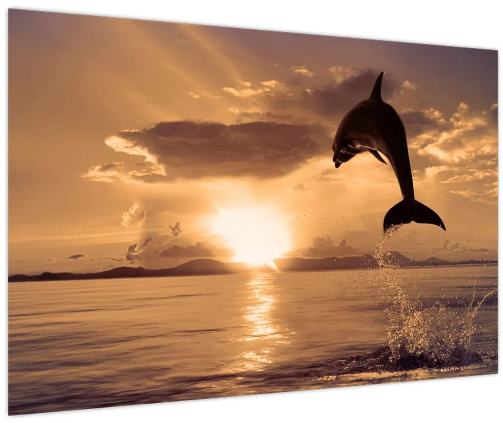 Tablou - Delfin la apus de soare (90x60 cm)