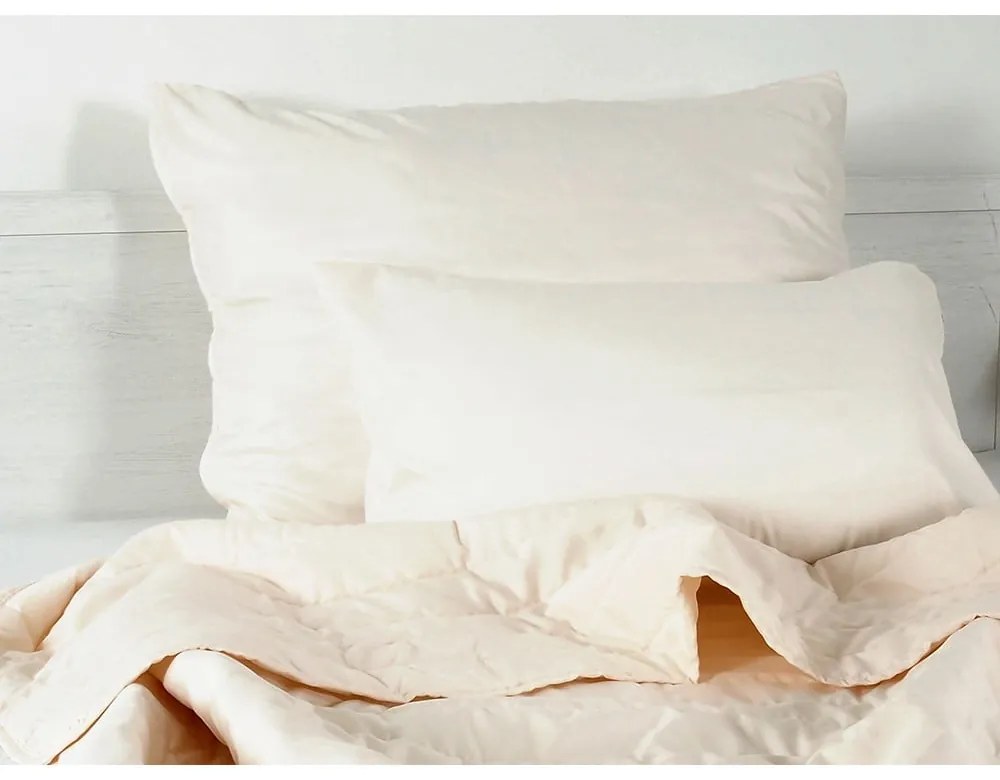 Față de pernă din microfibră 45x75 cm Summer – B.E.S.