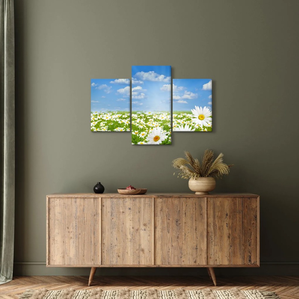 Tablou cu luncă înflorită cu margarete (90x60 cm)