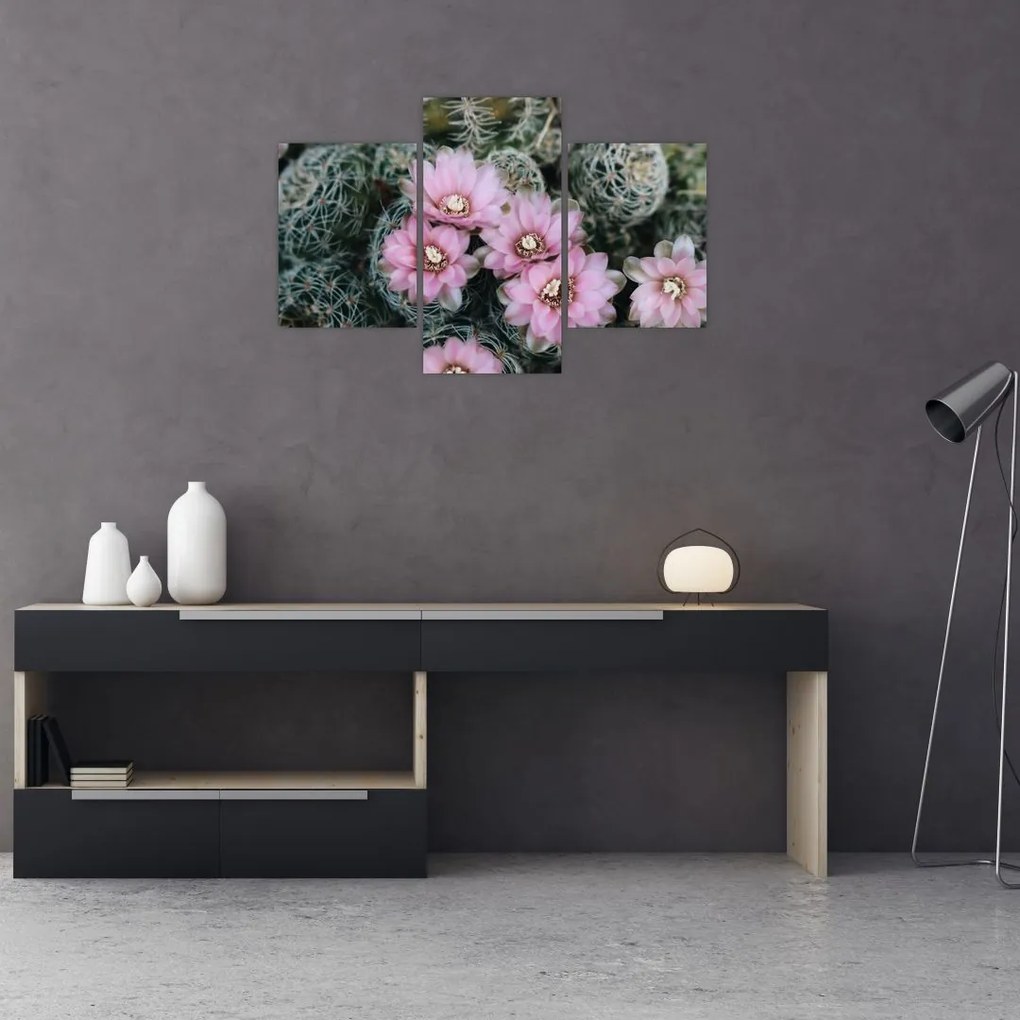 Tablou floare de cactus (90x60 cm)