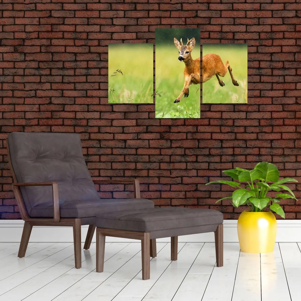 Tablou - Haită (90x60 cm)