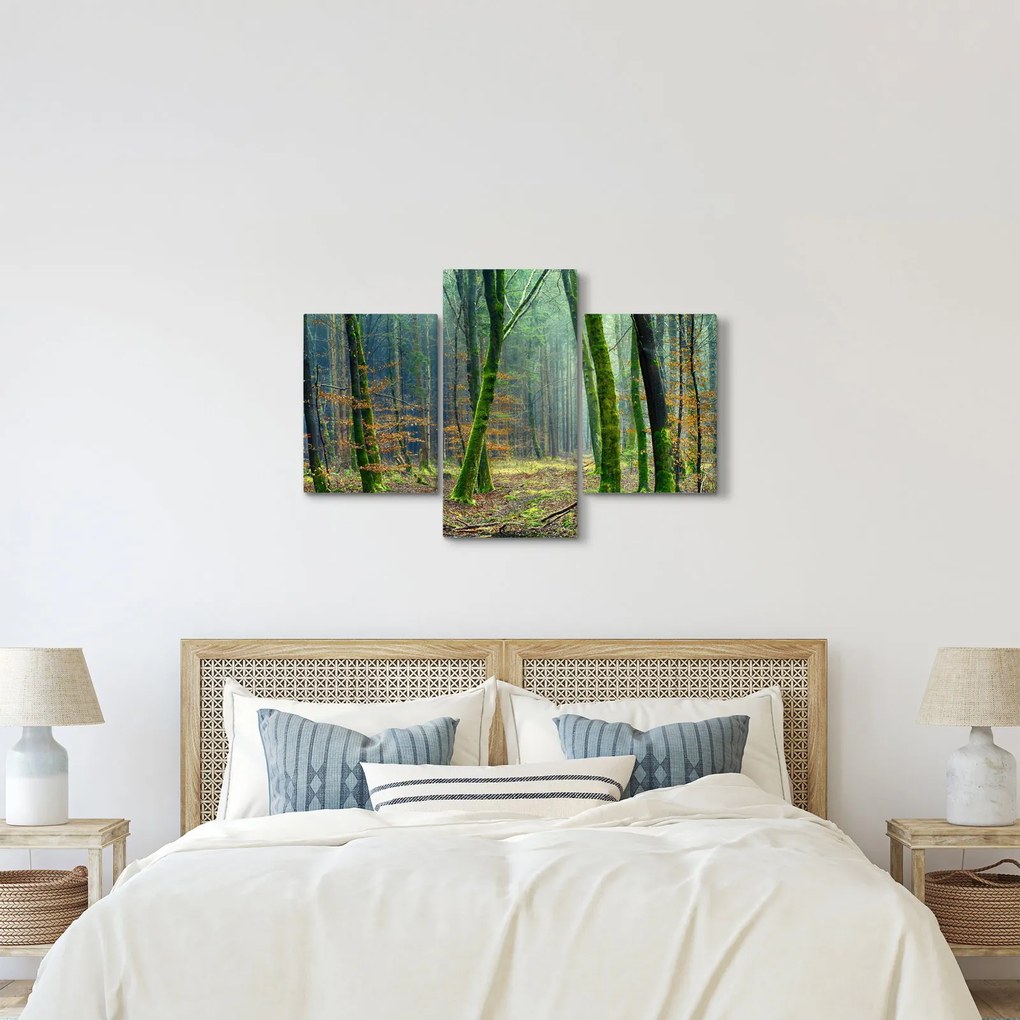 Tablou cu pădure (90x60 cm)