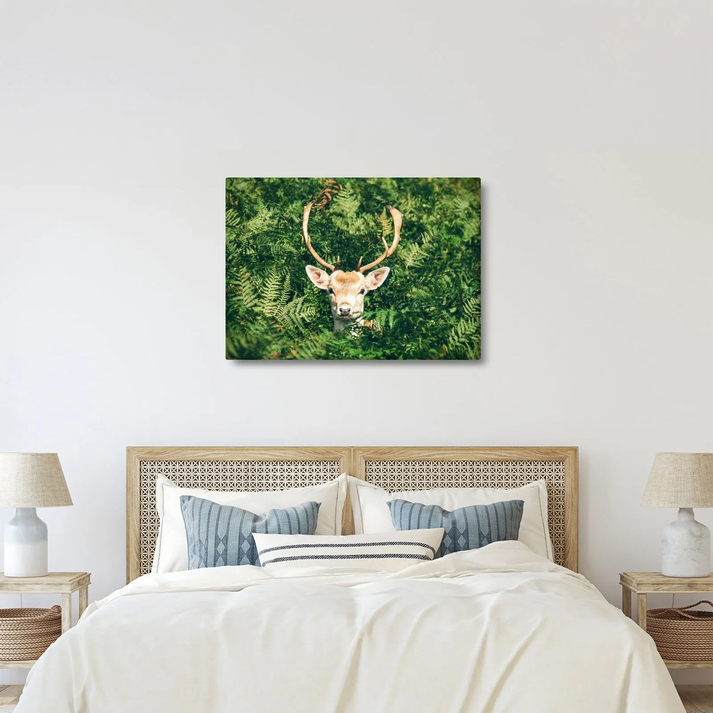 Tablou detaliu cu cap de căprioară (70x50 cm)