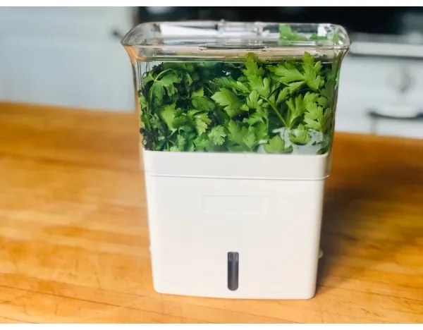 Recipient pentru ierburi proaspăt tăiate Cole&Mason