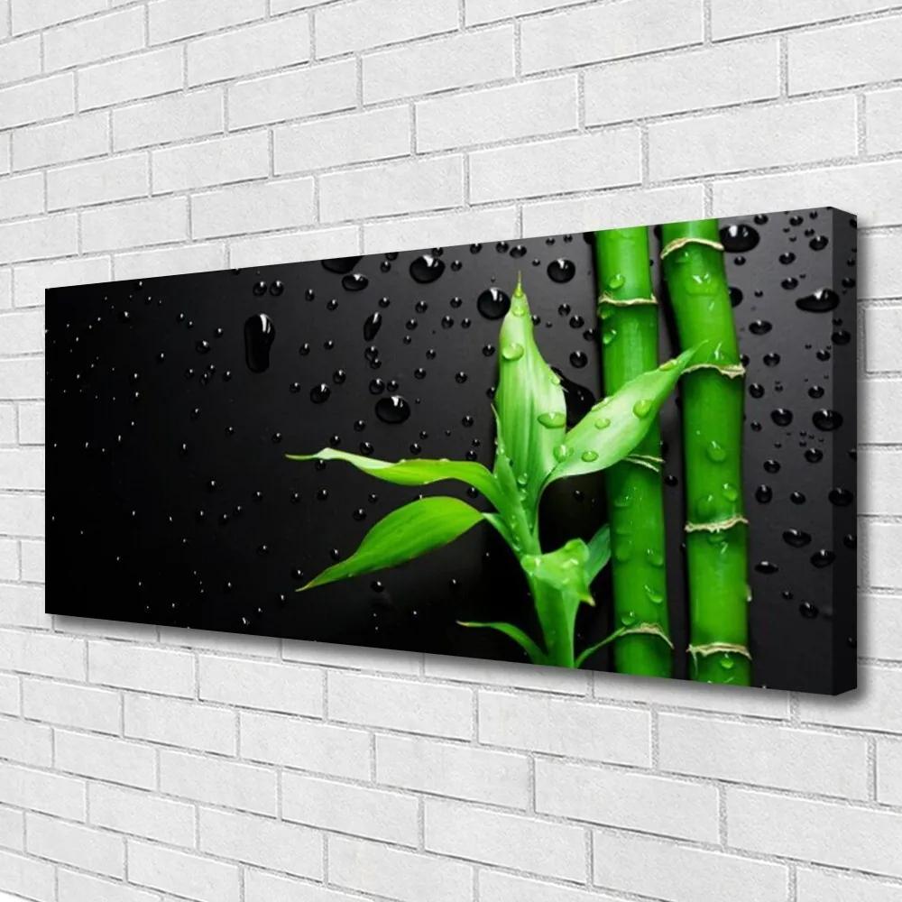 Tablou pe panza canvas Frunze de bambus verde florale negru
