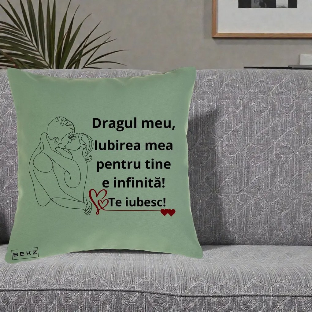 Cadou pentru Iubit - Perna Personalizata Dragul Meu Iubirea Mea pentru Tine e Infinita Te Iubesc, 40x40 cm, Verde, Husa Detasabila, Perna Inclusa, BEKZ®
