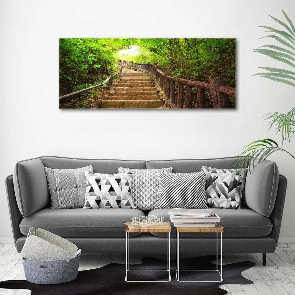 Tablou pe pânză canvas Scari din pădure