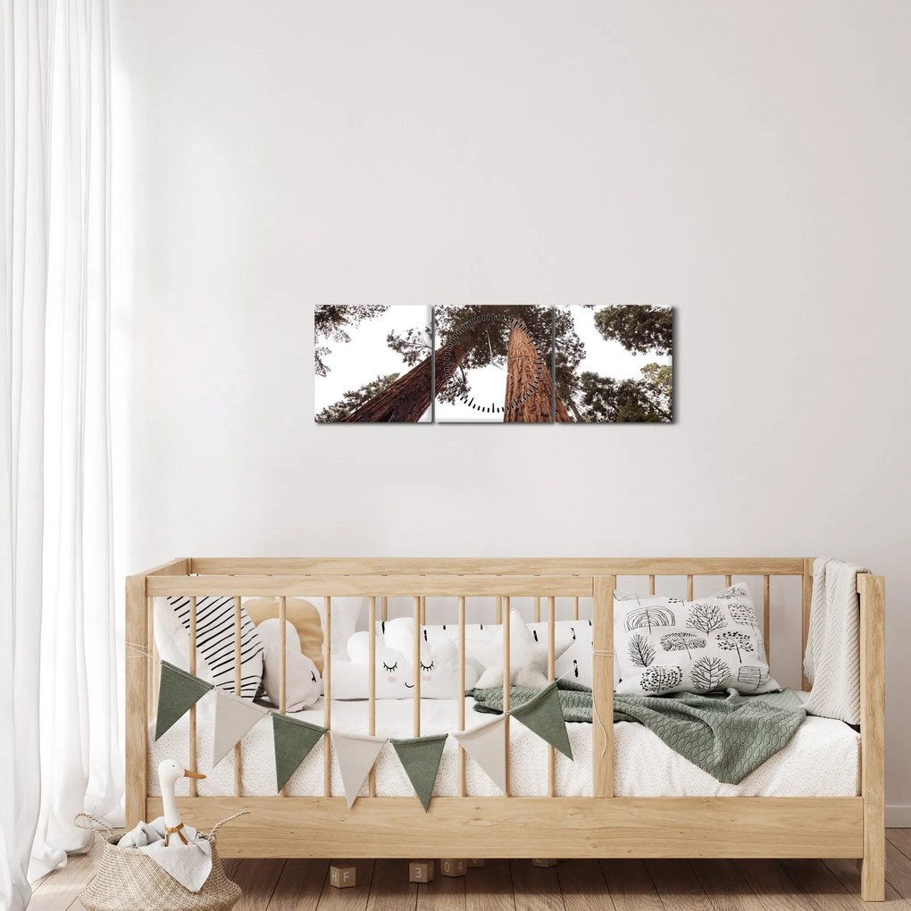 Tablou - Privire prin vârfurile copacilor (cu ceas) (90x30 cm)