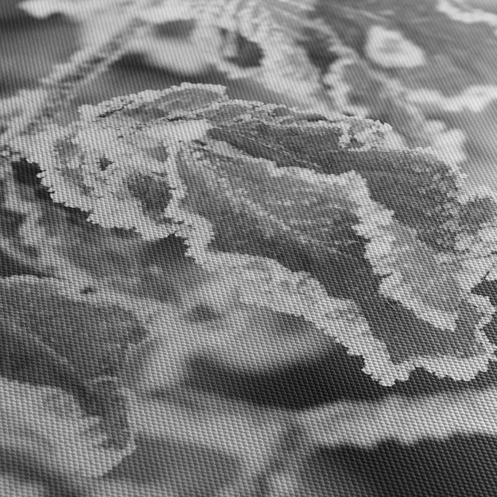 Tablou - Frunze înghețate,alb-negru (120x50 cm)