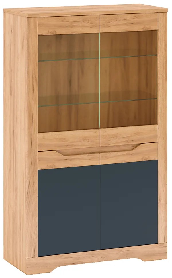 Vitrina C, stejar craft auriu / grafit gri, FIDEL