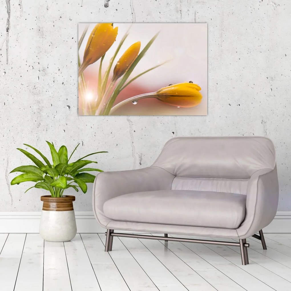 Tablou - Flori de primăvară (70x50 cm)