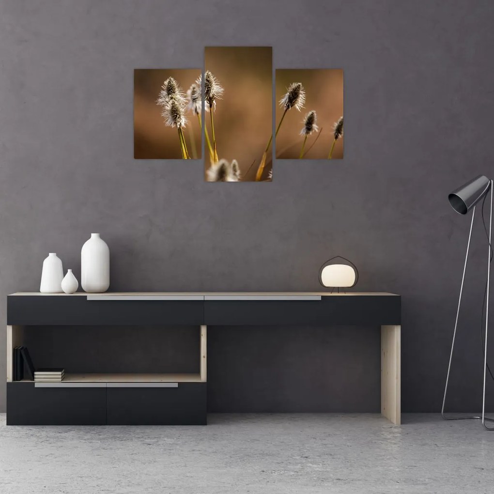 Tablou - Iarbă (90x60 cm)