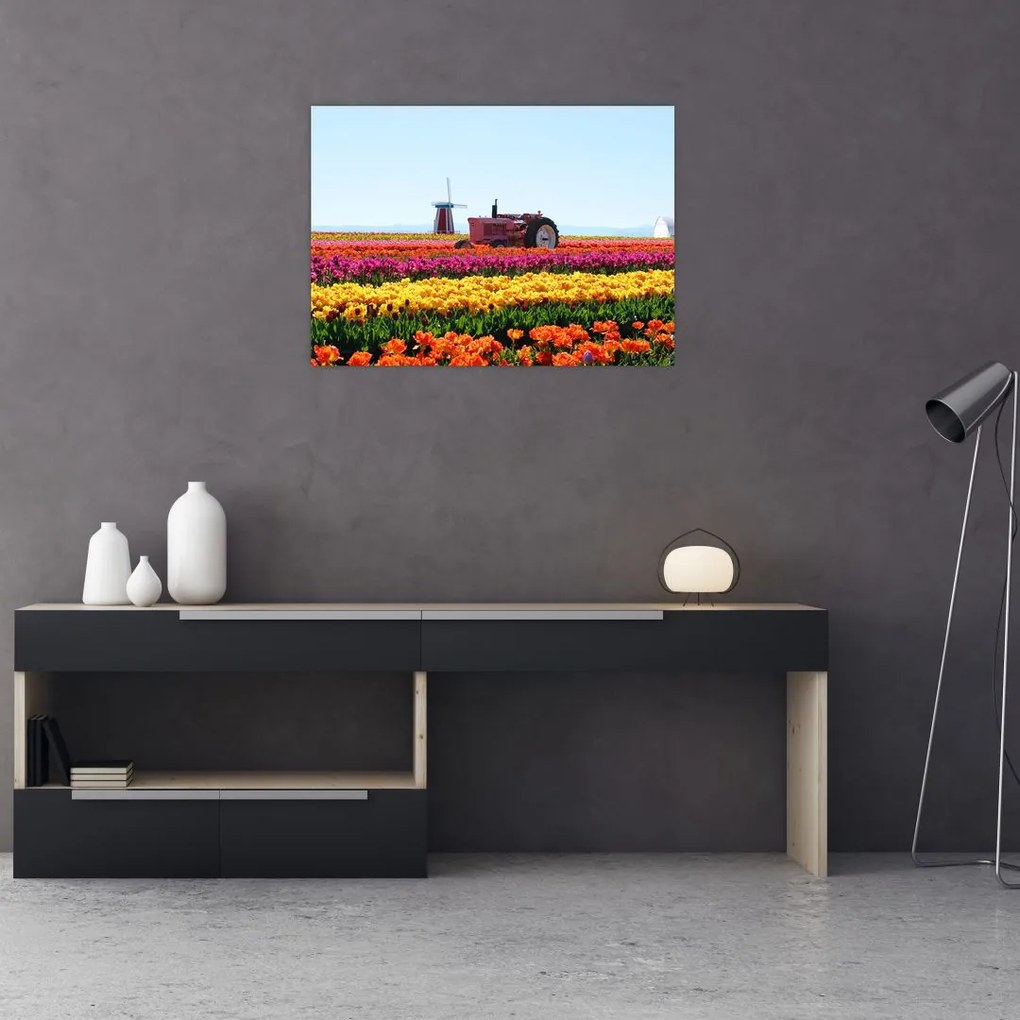 Tablou cu farma de lalele (70x50 cm)