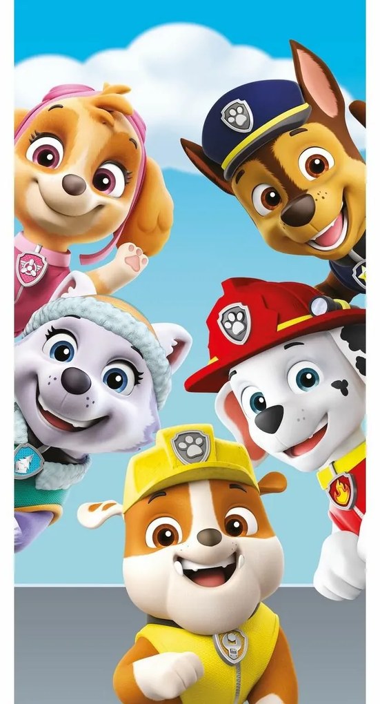 Prosop Paw Patrol PP327, 70 x 140 cm