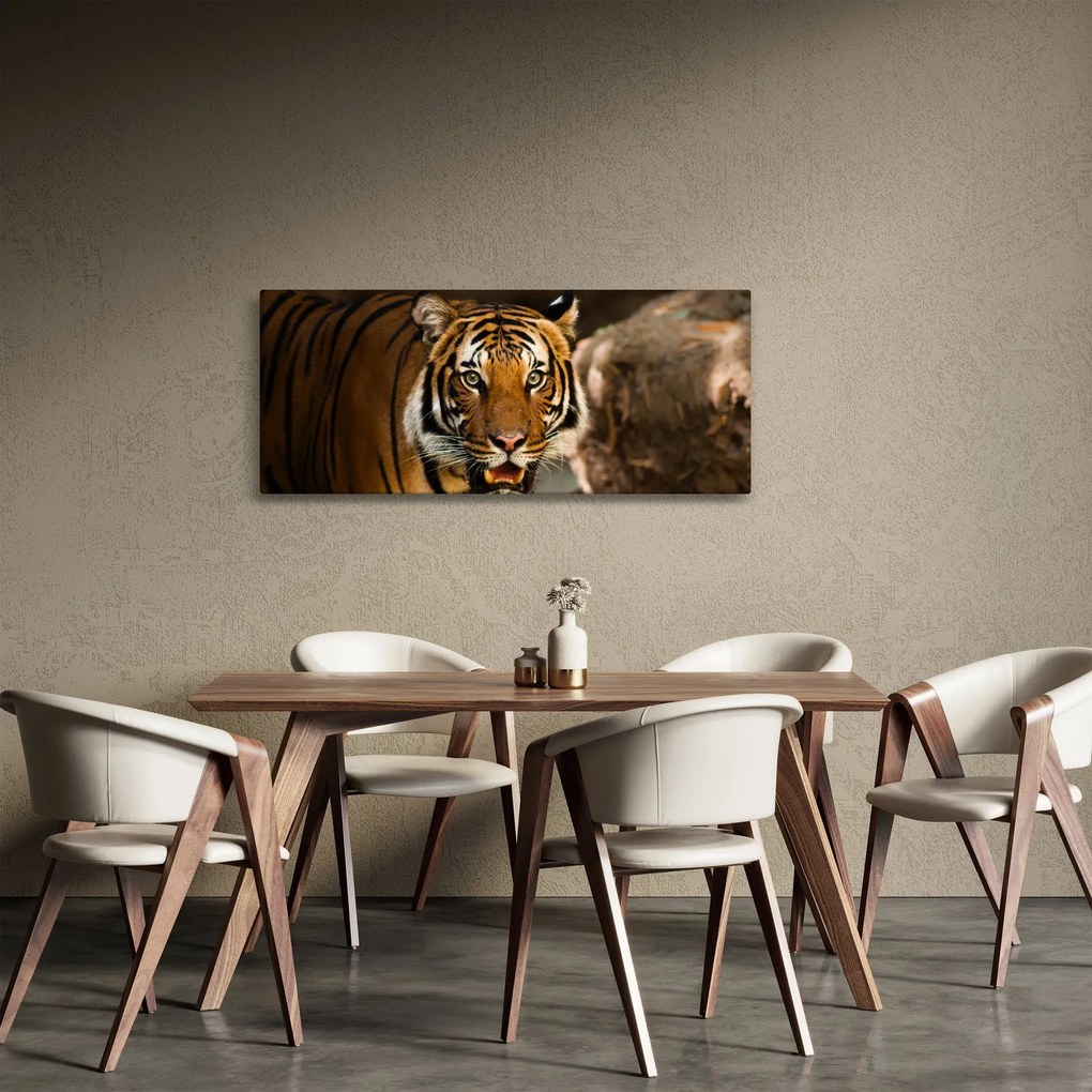 Tablou cu tigrul (120x50 cm)
