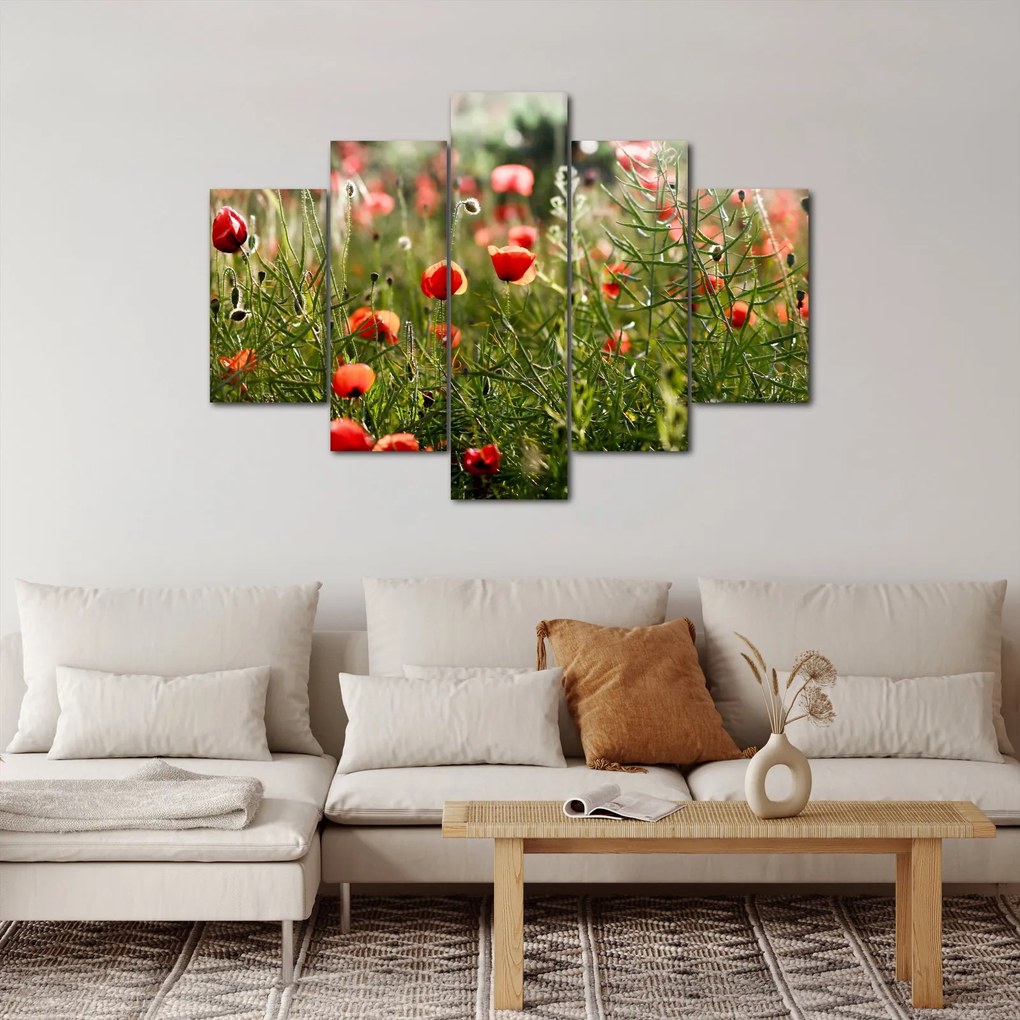 Tablou cu maci (150x105 cm)