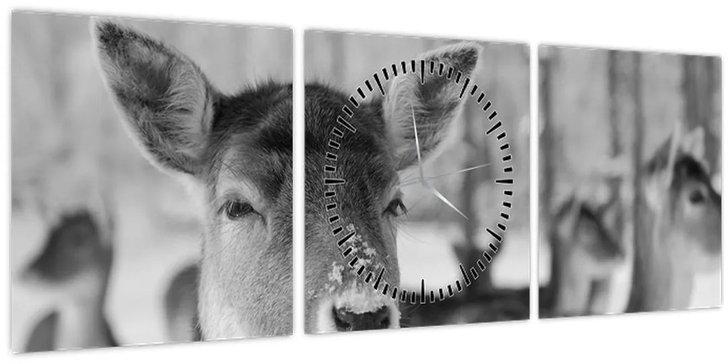 Tablou - Cerbi,alb-negru (cu ceas) (90x30 cm)
