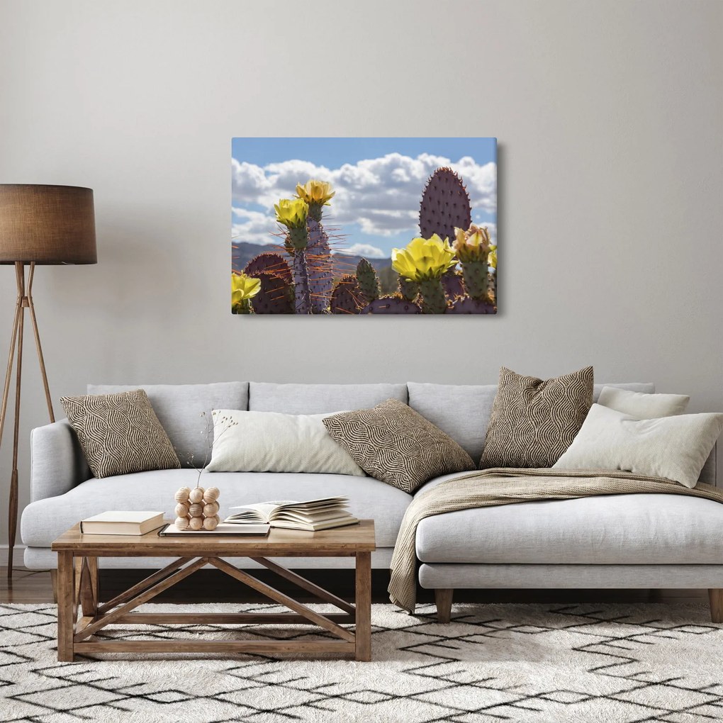 Tablou cu floarea de cactus Opunție (90x60 cm)